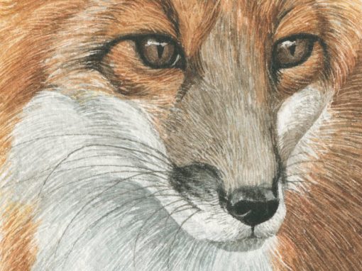 ROBERT BATEMAN PROJECT