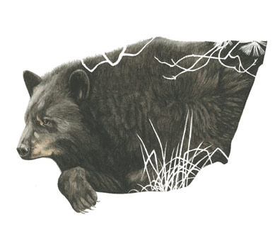 ROBERT BATEMAN PROJECT