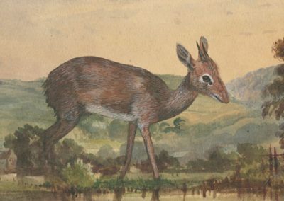 An oversize ungulate in a British watercolor landscape.