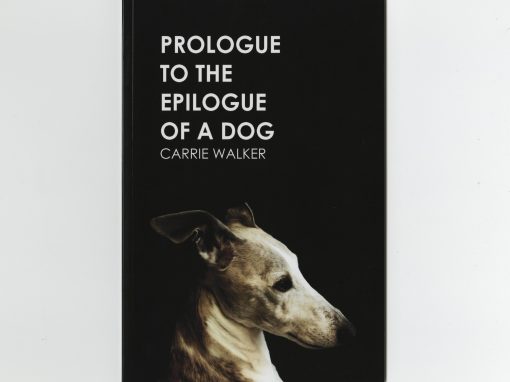 PROLOGUE TO THE EPILOGUE OF A DOG