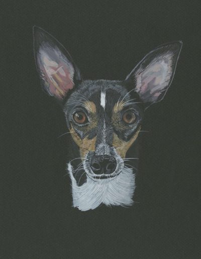 This is a painted portrait of Dexter, the rat terrier. Dexter has giant ears.