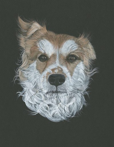 This is a painting of a dog's head. The dog has a curly white ruff and orange fur.