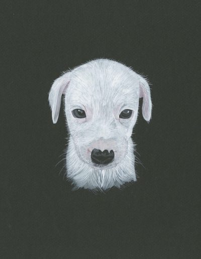 This is a painting of a tiny puppy named Moby. He looks a little downcast.