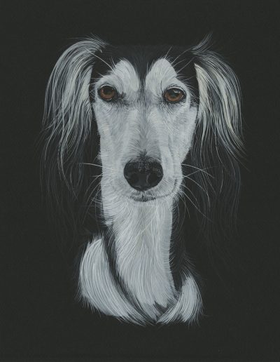 This is a painted portrait of Luki, a saluki dog.