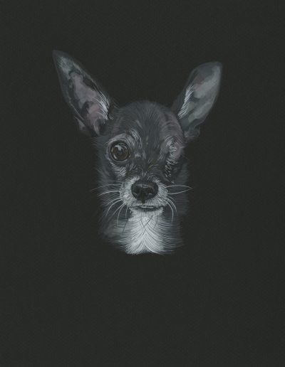 This is a painting of Morty the misfit, a one-eyed chihuahua.