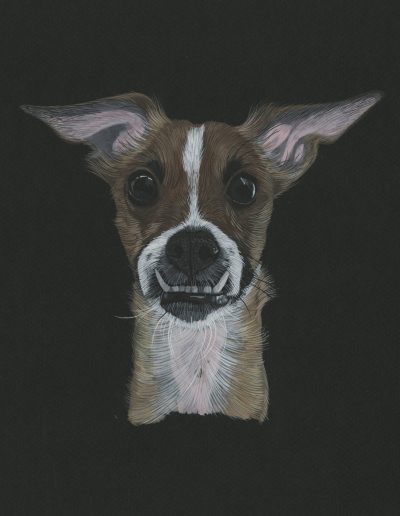 This is a painting of Nacho. A brown and white dog with an underbite.