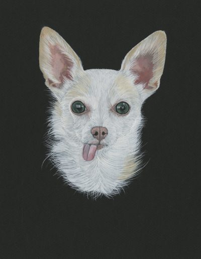 This is a painting of Sophie with her tongue hanging out. She is a chihuahua.