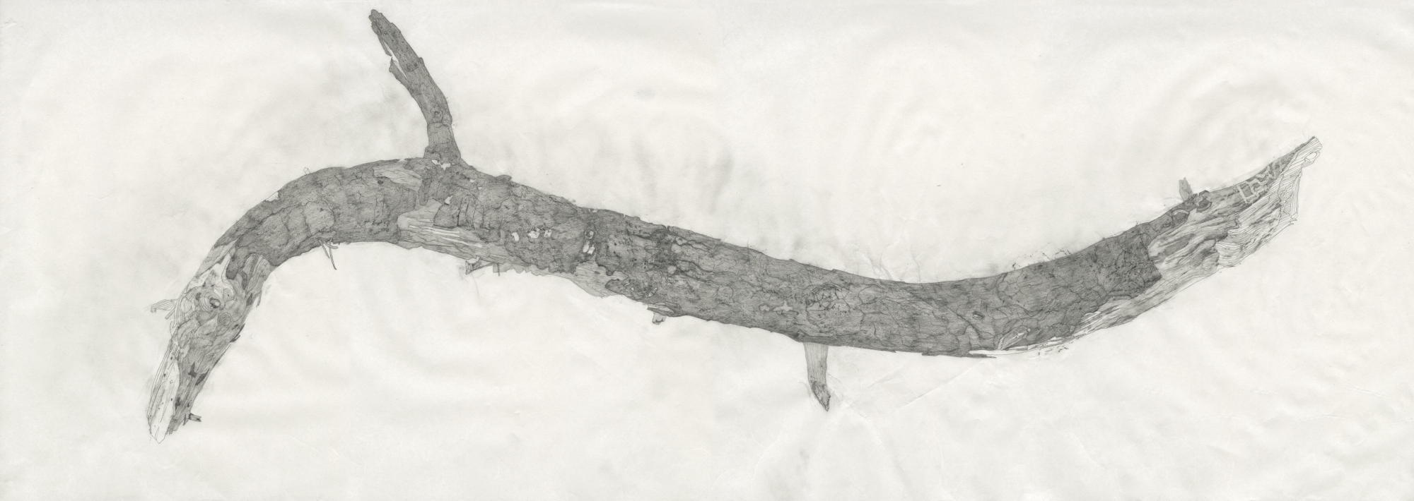 detailed pencil drawing of a stick